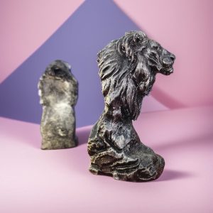 Loin Bust