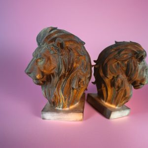 Loin Bust