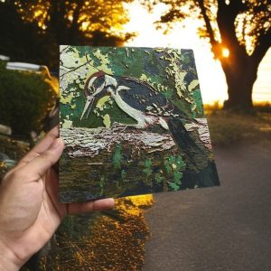 Woodpecker Nature Art