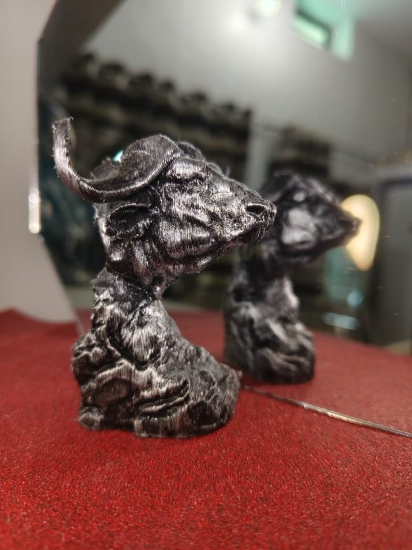 Buffalo Bust - Image 2