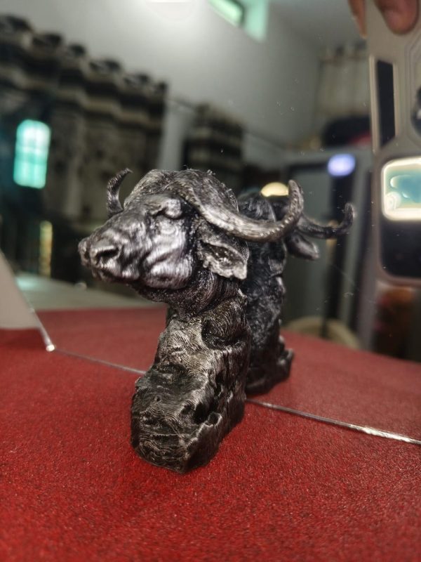 Buffalo Bust - Image 3