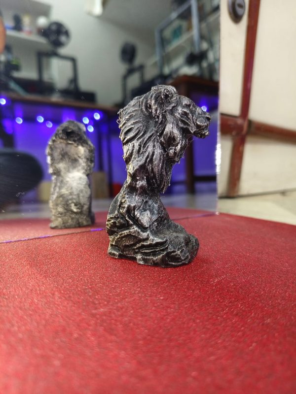 Loin Bust - Image 3