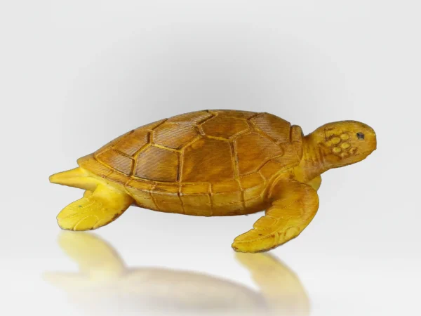 turtle cr8iwitty harsh dixit creativity